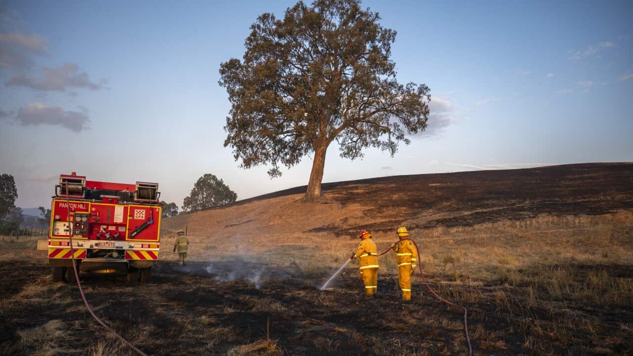 Victorian Bushfires in Australia - 10 Jan 2026