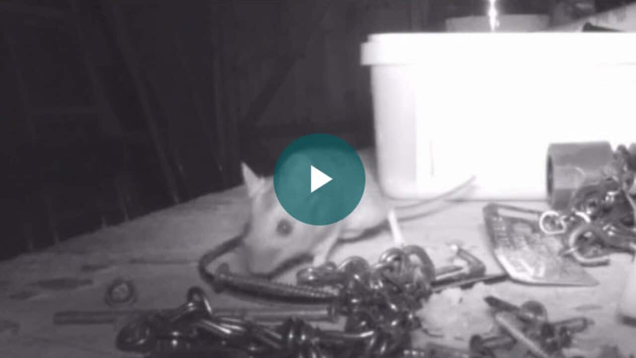 Image for read more article ''