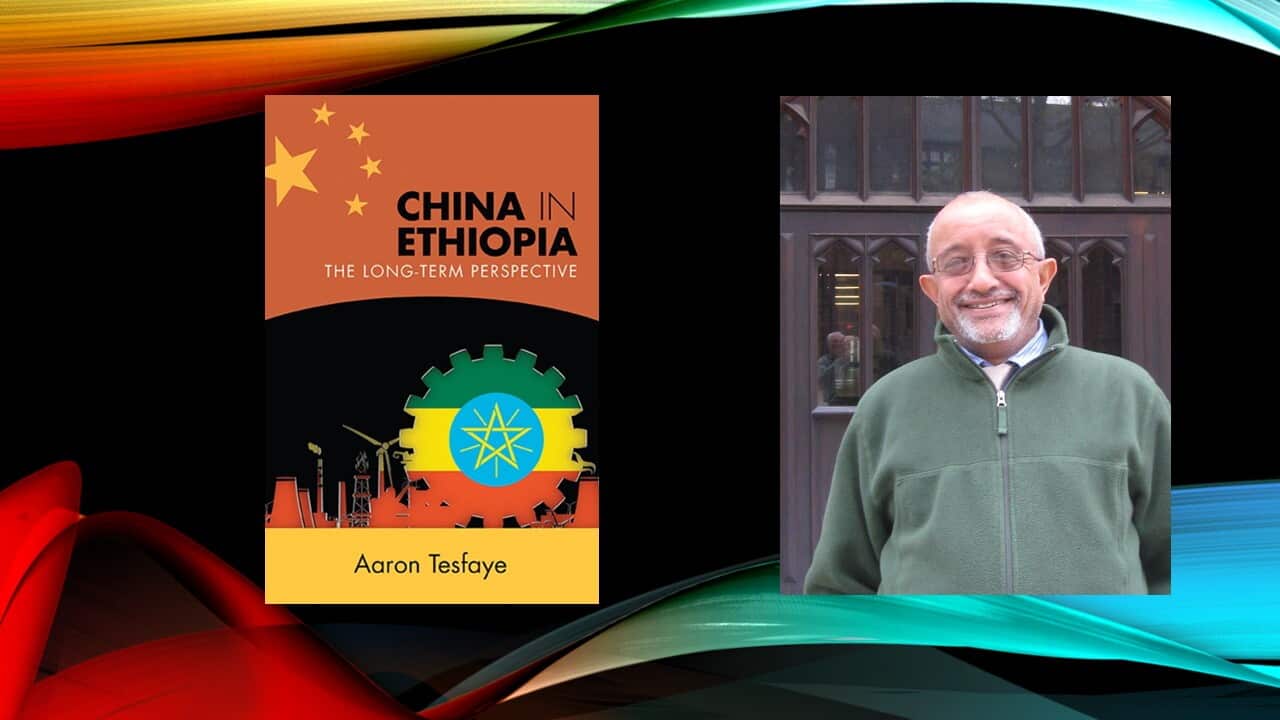 Interview with Prof Aaron Tesfaye