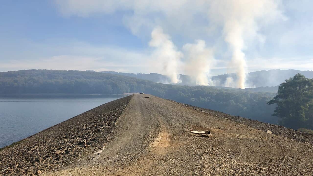 SBS Mandarin/ Helen Chen