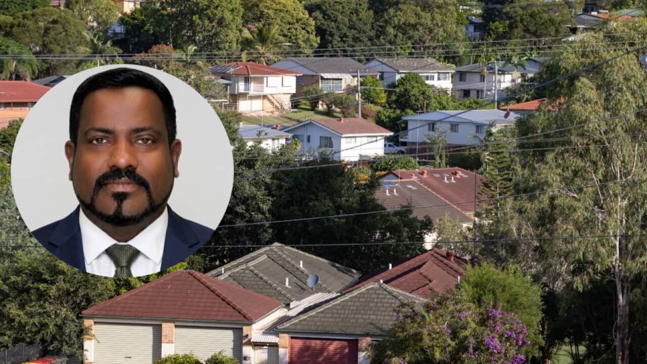 Real Estate Johnny Tharma.jpg