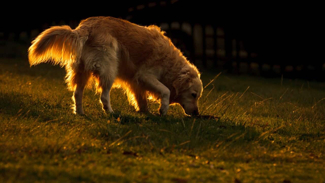 Image for read more article '其他內容'