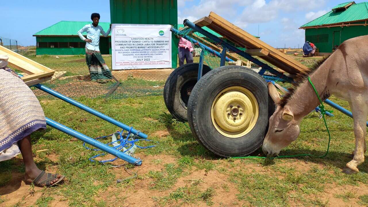 AVSI Somalia.jpg
