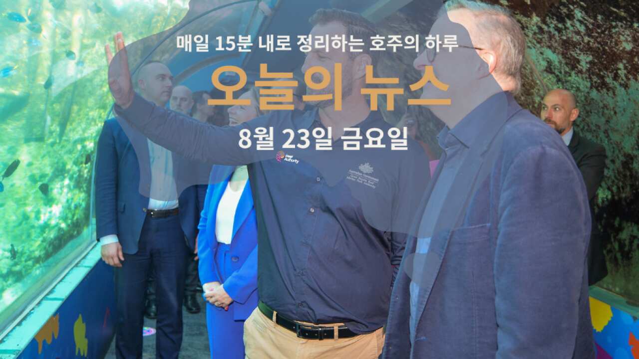 15news_web23.png