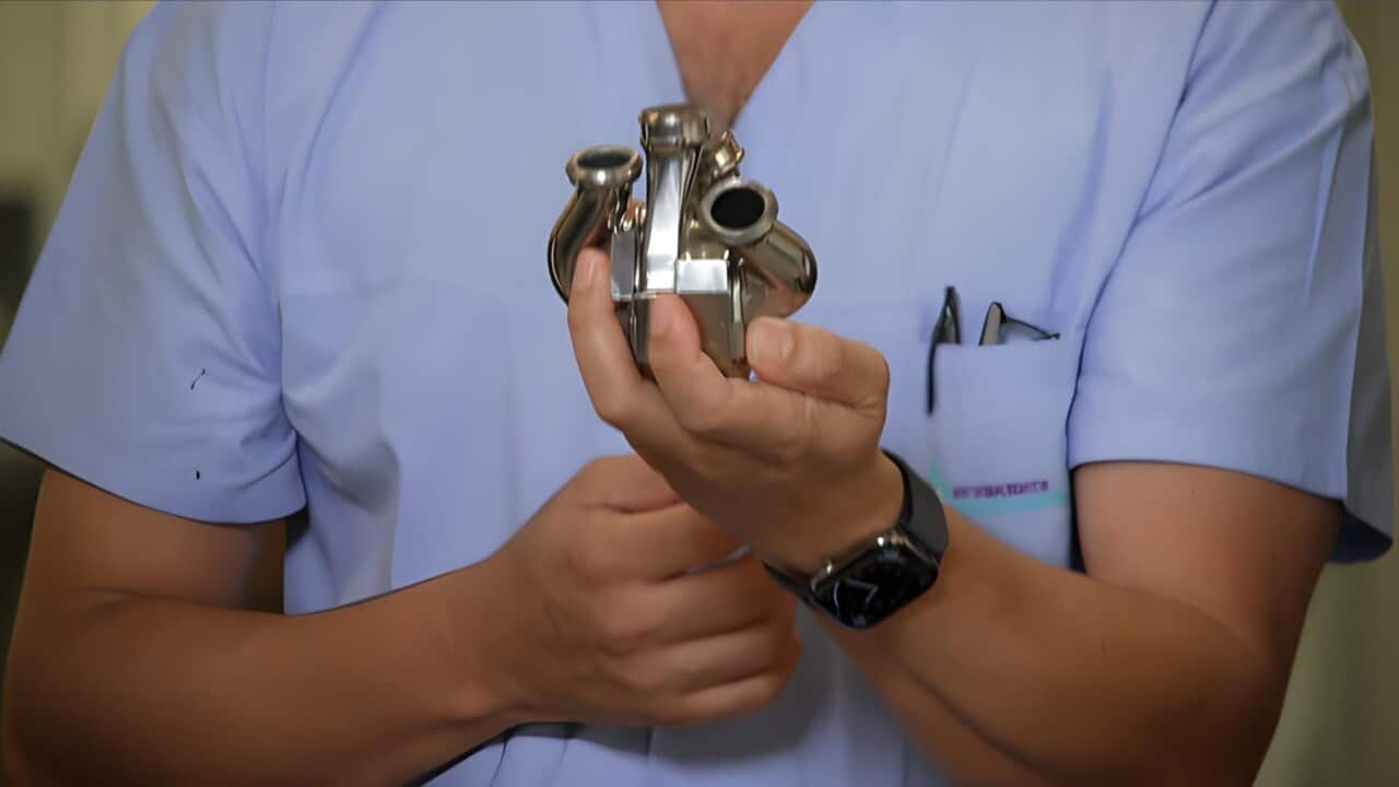 The artificial heart (SBS).jpg