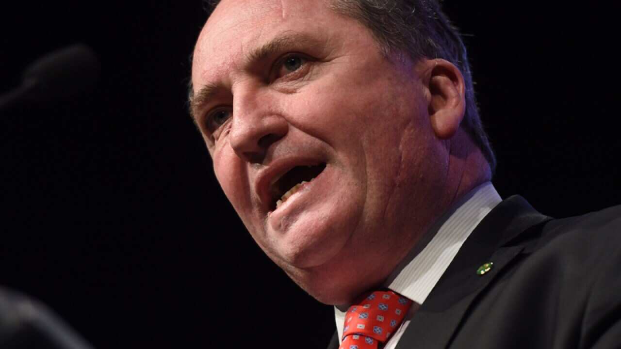 Australian Deputy Prime Minister Barnaby Joyce