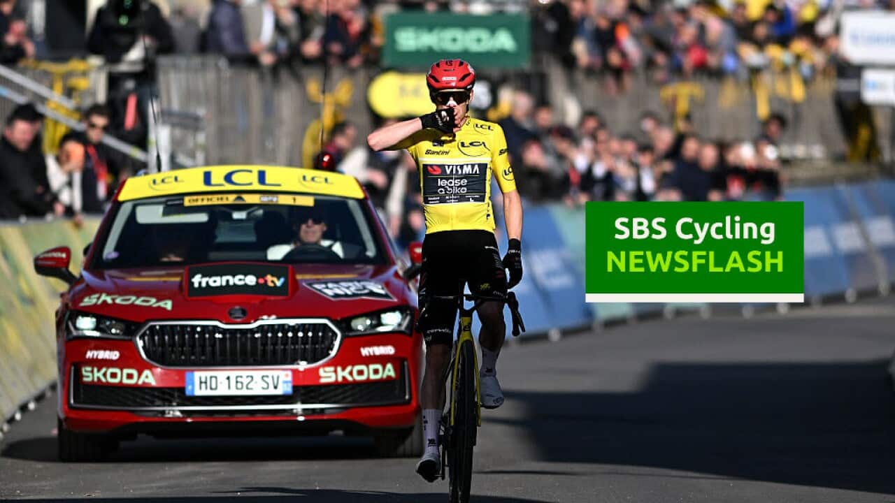 COLOMBIER-LE-VIEUX, FRANCE - MARCH 12: Jonas Vingegaard of Denmark and Team Visma | Lease a Bike - Yellow Leader Jersey celebrates at finish line as stage winner during the 84th Paris-Nice 2026, Stage 5 a 206.3km stage from Cormoranche-sur-Saone to Colombier-le-Vieux 422m / #UCIWT / on March 12, 2026 in Colombier-le-Vieux, France. (Photo by Szymon Gruchalski/Getty Images)