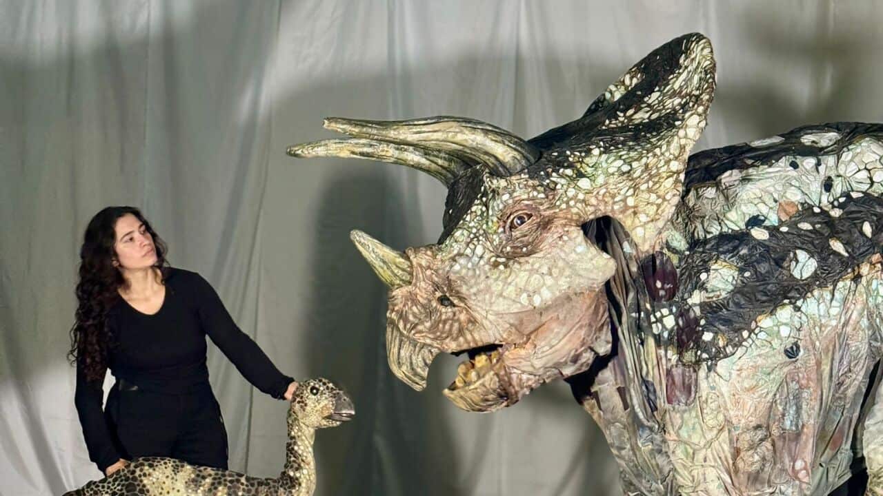 keyla terencio dinos.jpeg