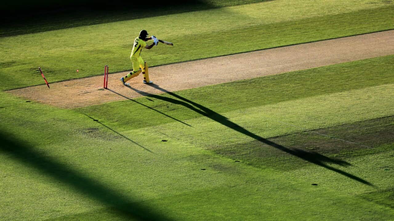 Australia's Glenn Maxwell is clean-bowled against England