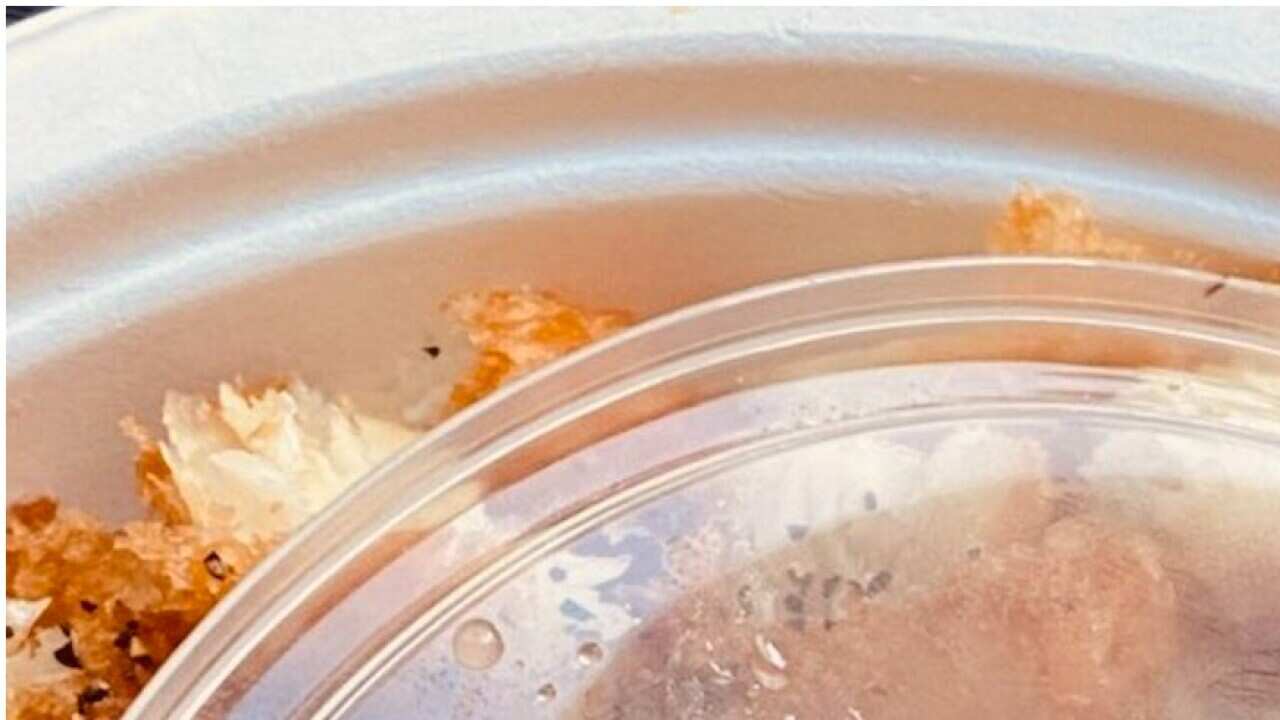 Photos showing maggots and mouldy bread that asylum seekers say was served to them for dinner 