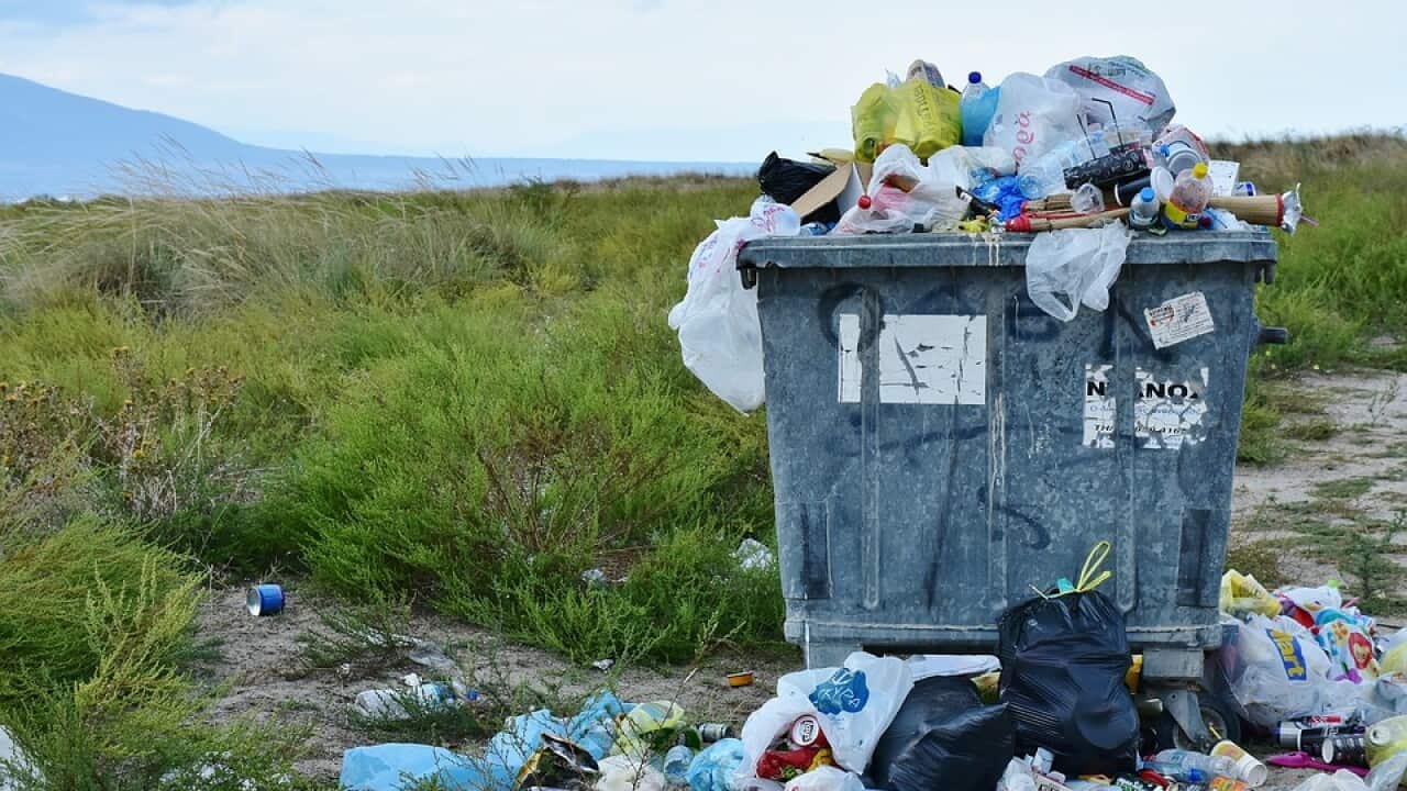 Plastic Pollution