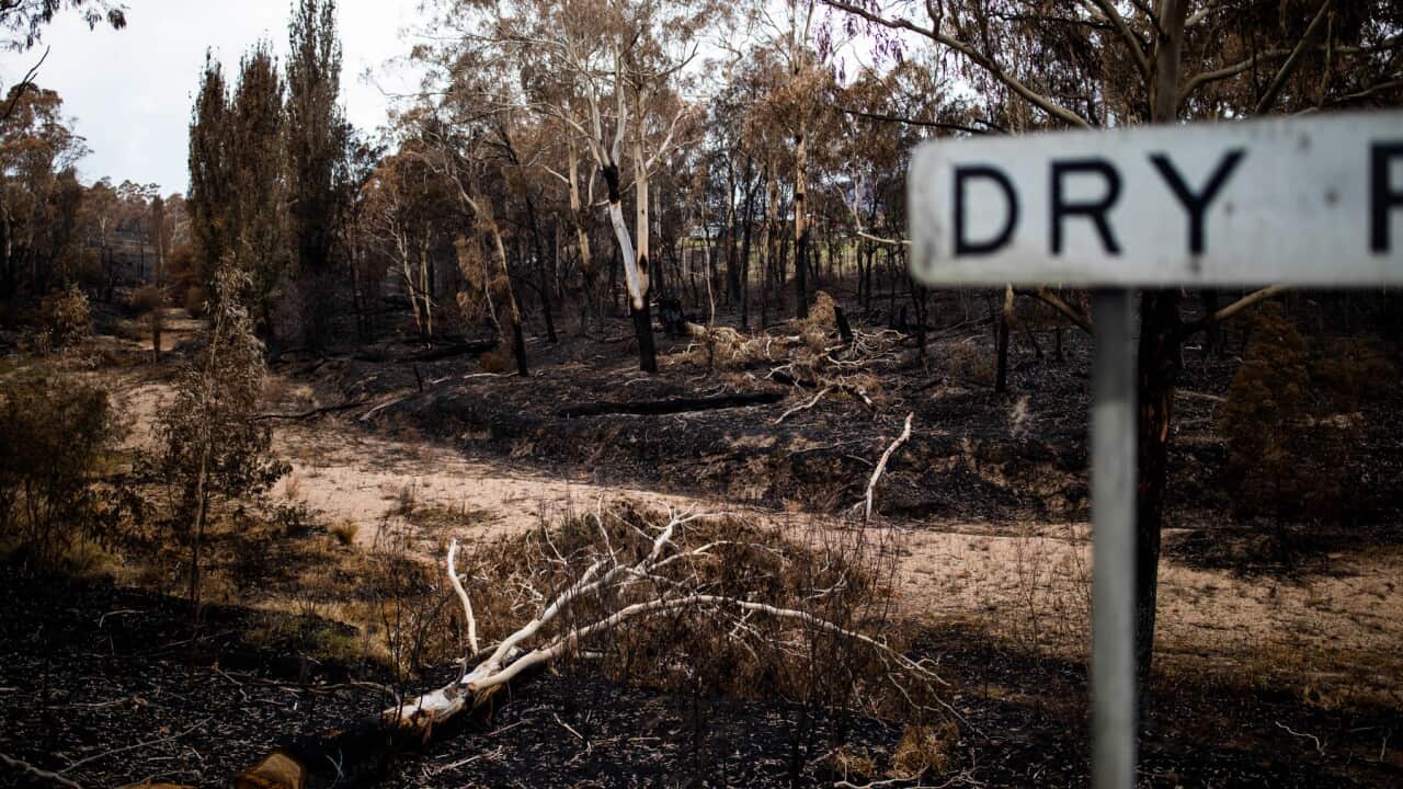 The recent bushfires on the South Coast of NSW were preceded by extended periods of drought