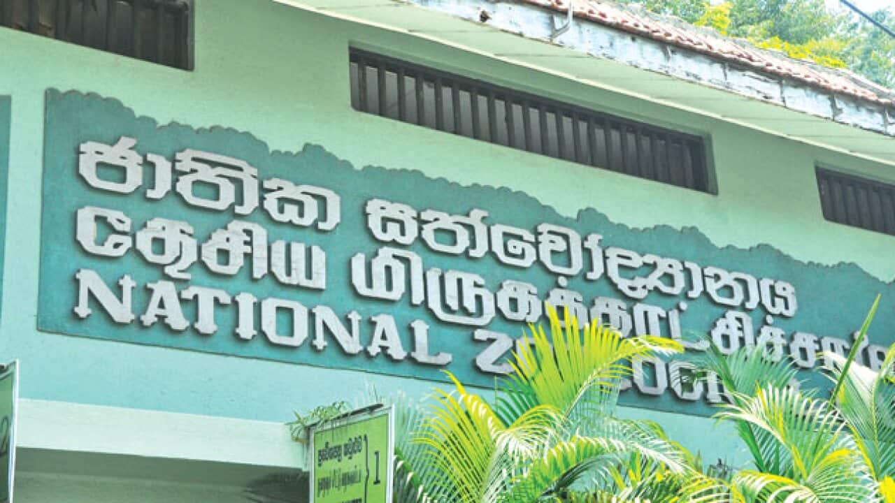 Another blast at Dehiwala.