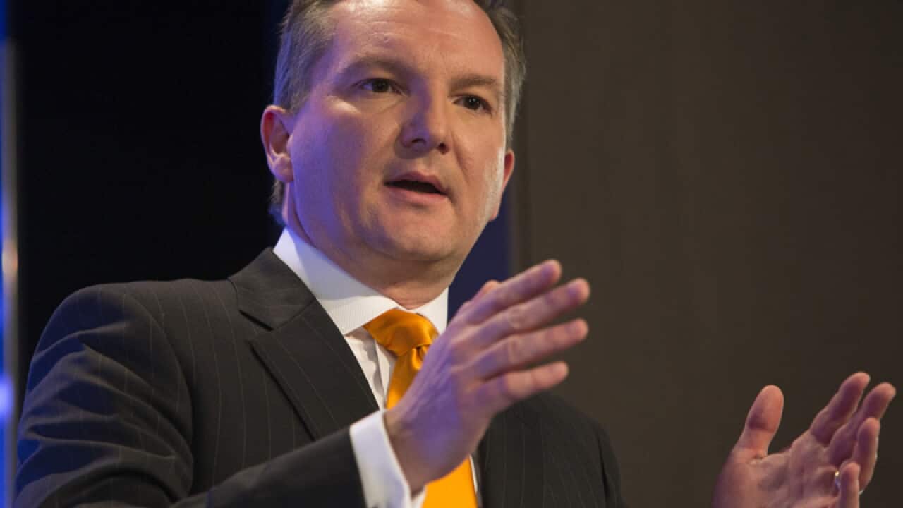 Acting Labor leader Chris Bowen