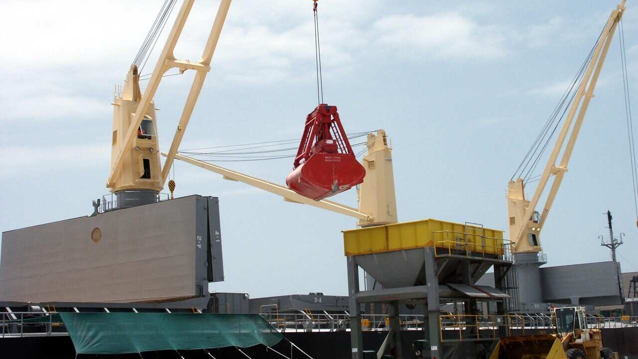 GMO corn BIG AAP.jpg