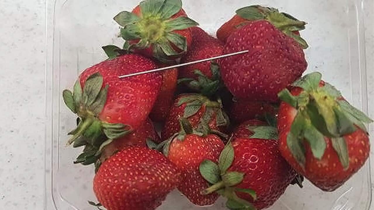 needle strawberry