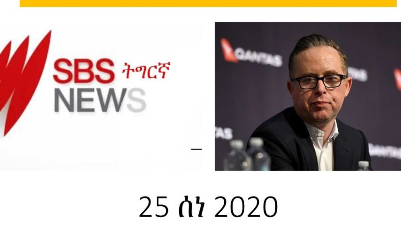 SBS Tigrinya News