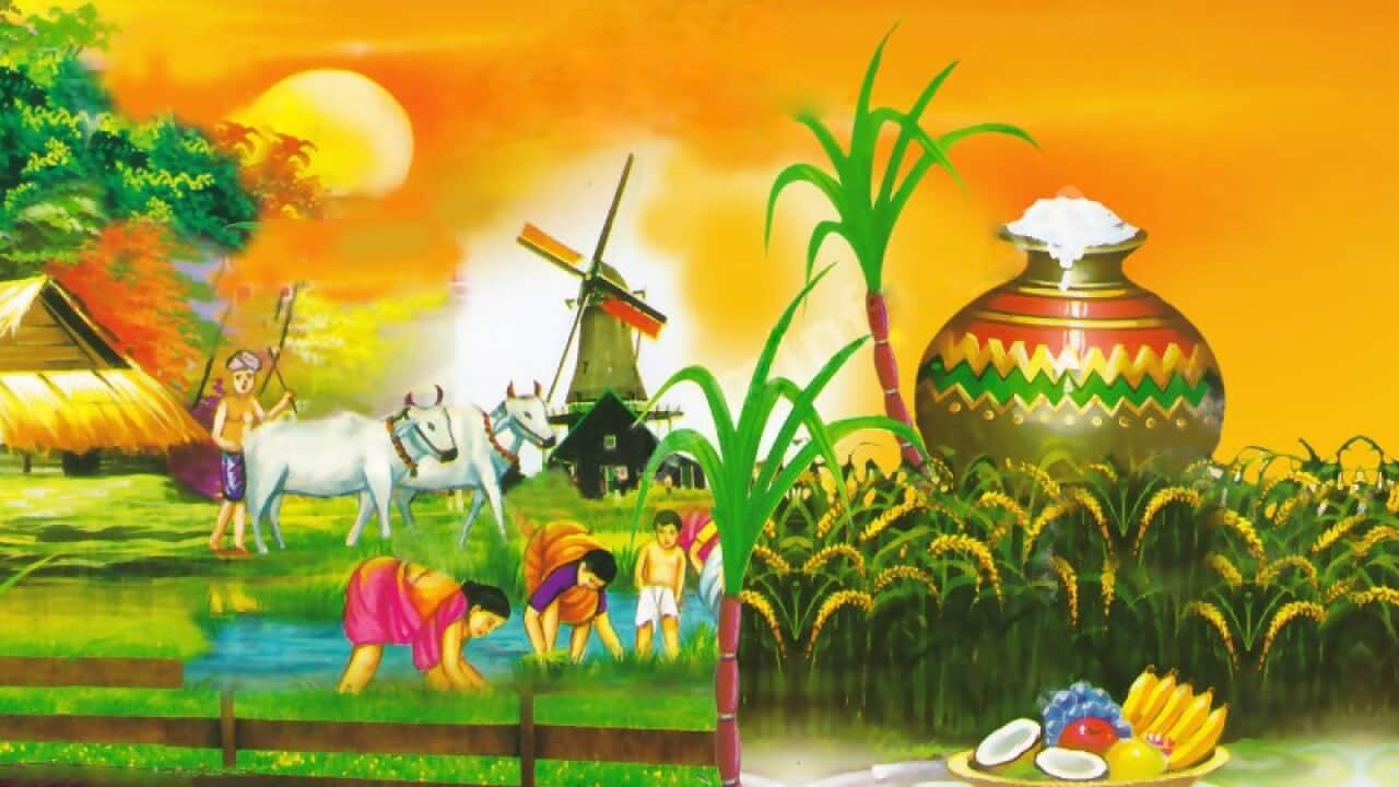 Pongal