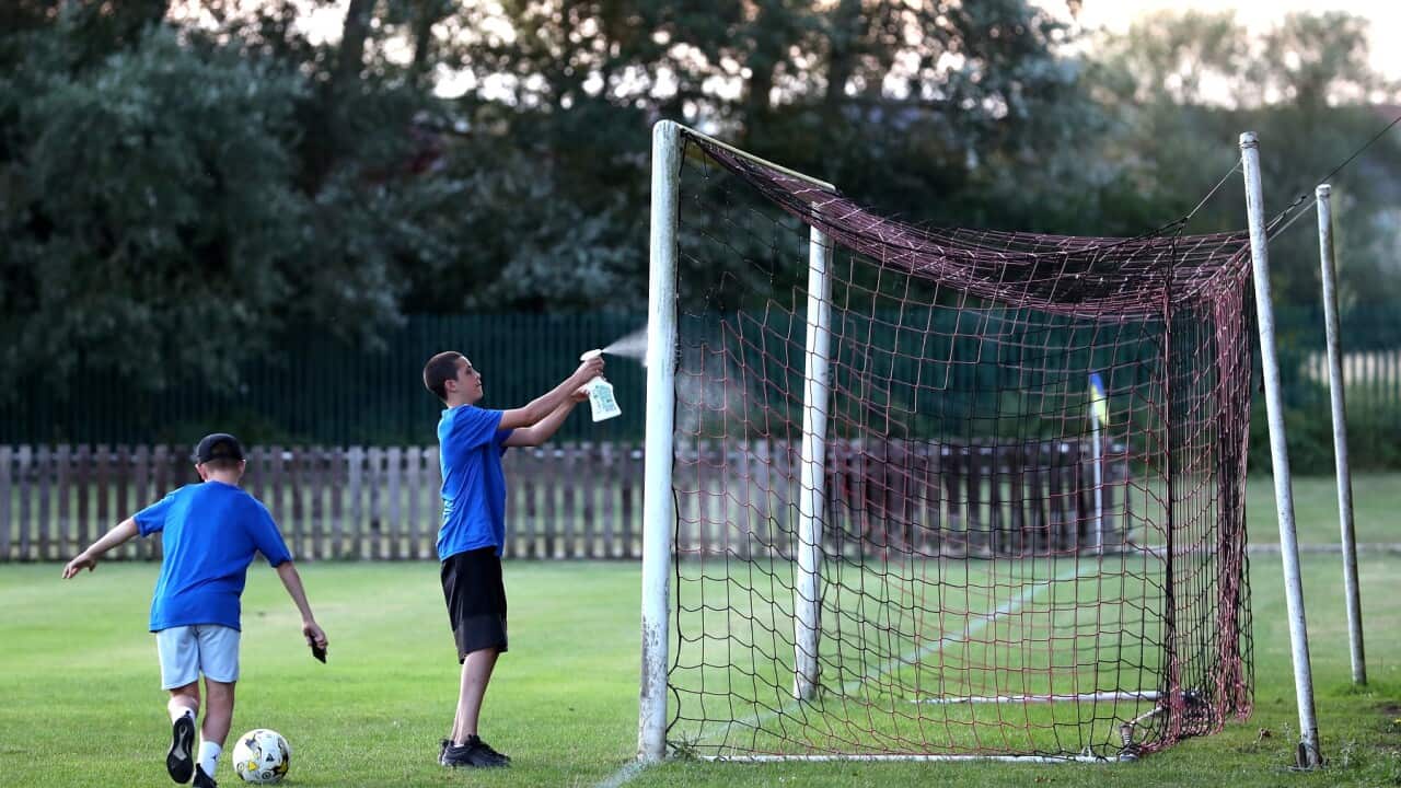 Image for read more article 'READ MORE'