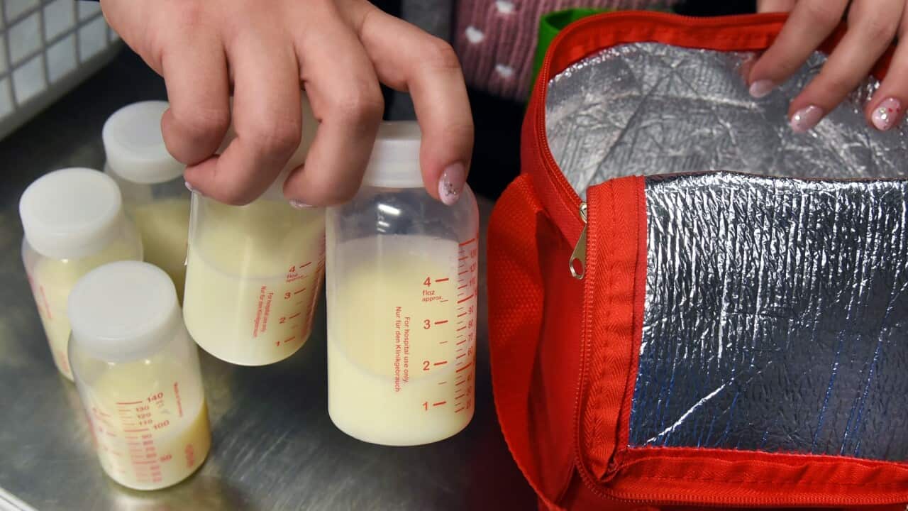 Milk banks provide premature infants with breast milk