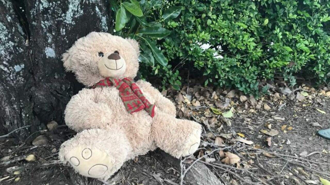 Một chú gấu Teddy được đặt trước trung tâm Goodstart Early Learning tại vùng Edmonton, Cairns.