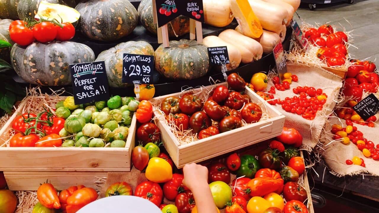 Various kinds of tomato