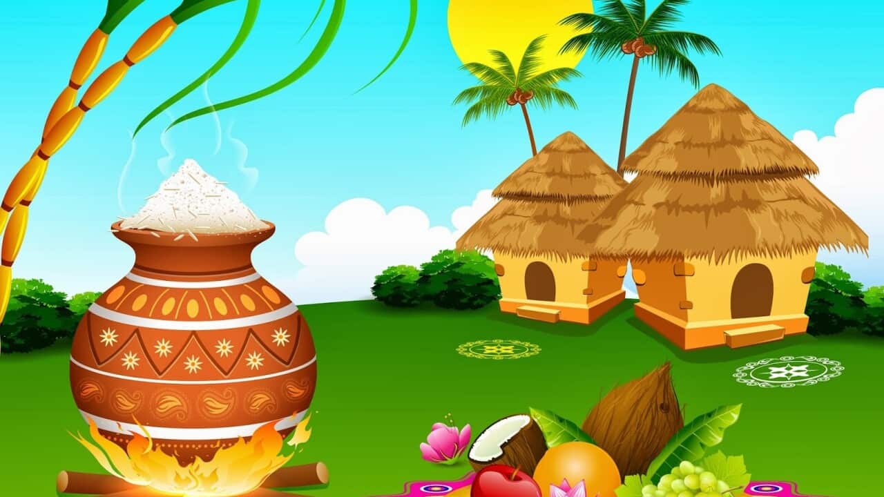 Pongal Festival