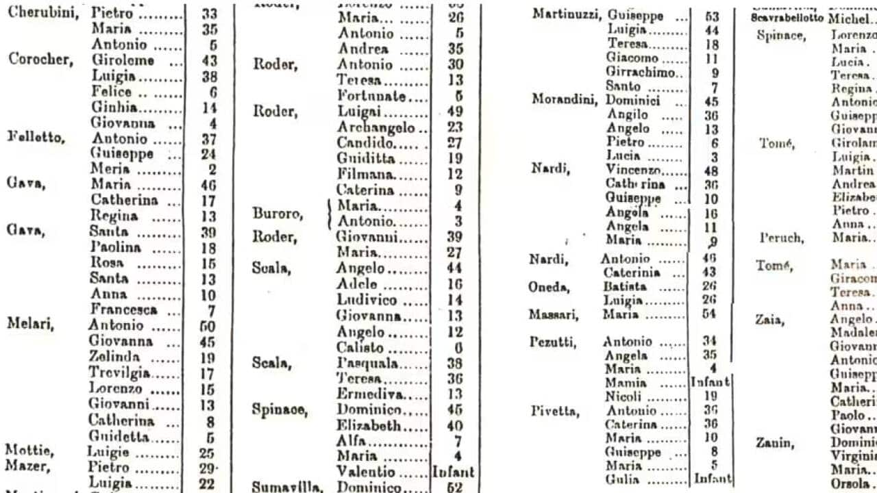The list of Italian exiles from the provinces of Treviso and Pordenone who landed in Sydney on 8 April 1881.