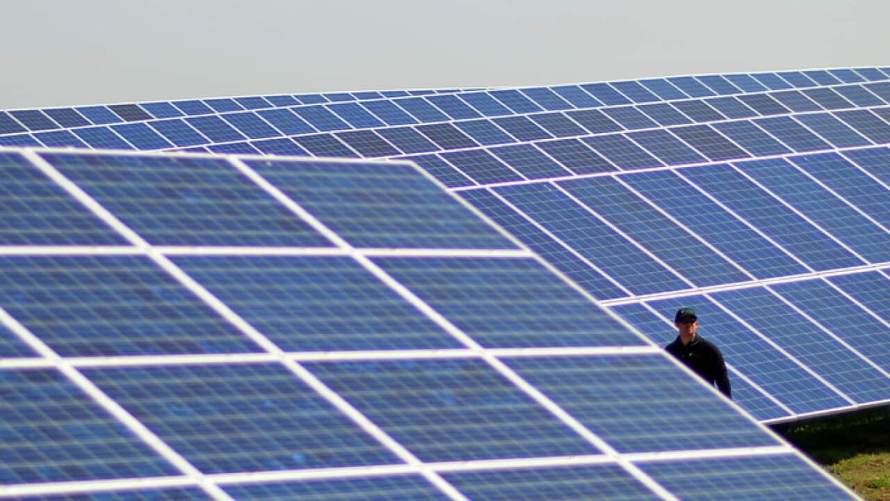 A solar garden in Boulder, Colorado, US