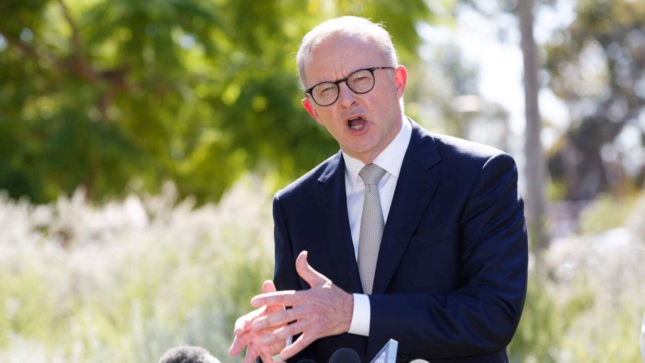 Federal Opposition leader Anthony Albanese is seen speaking.