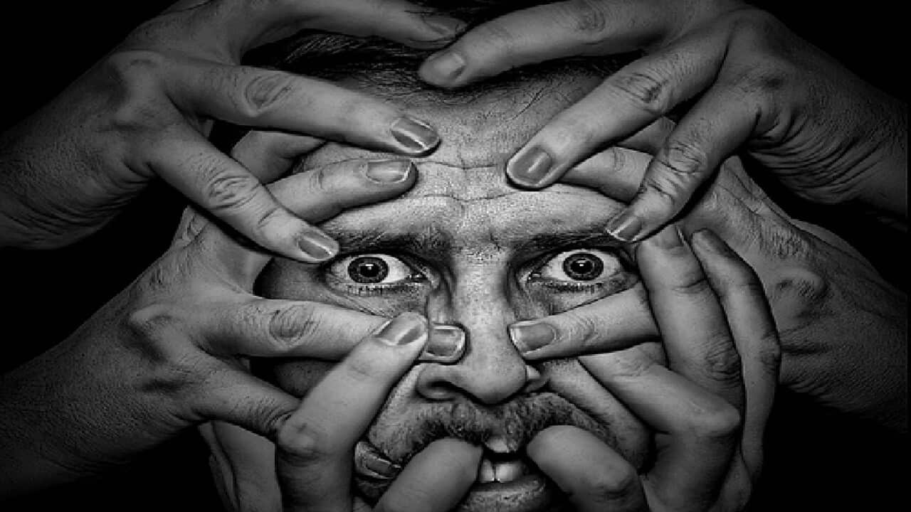 Nicolien van vroonhoven On politics and campaigns