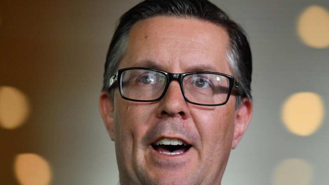 Labor frontbencher Mark Butler.