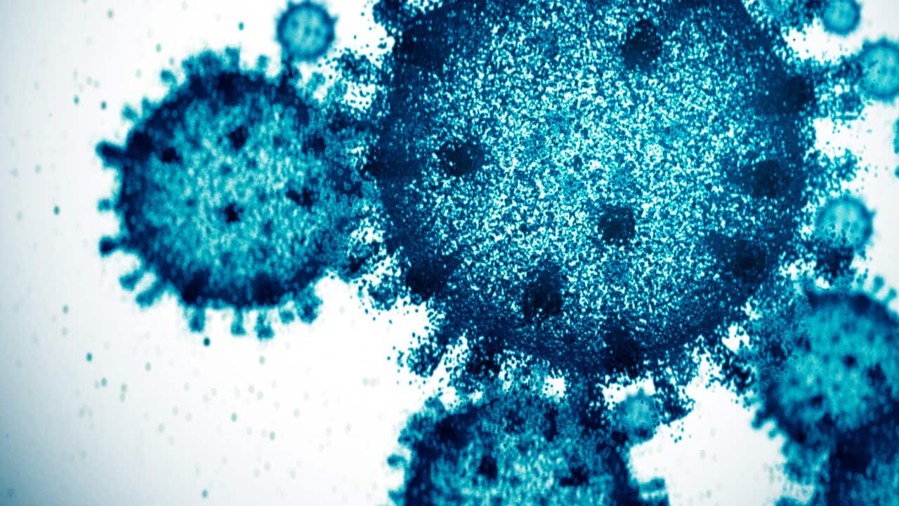 Graphic of blue-coloured virus cells under a microscope