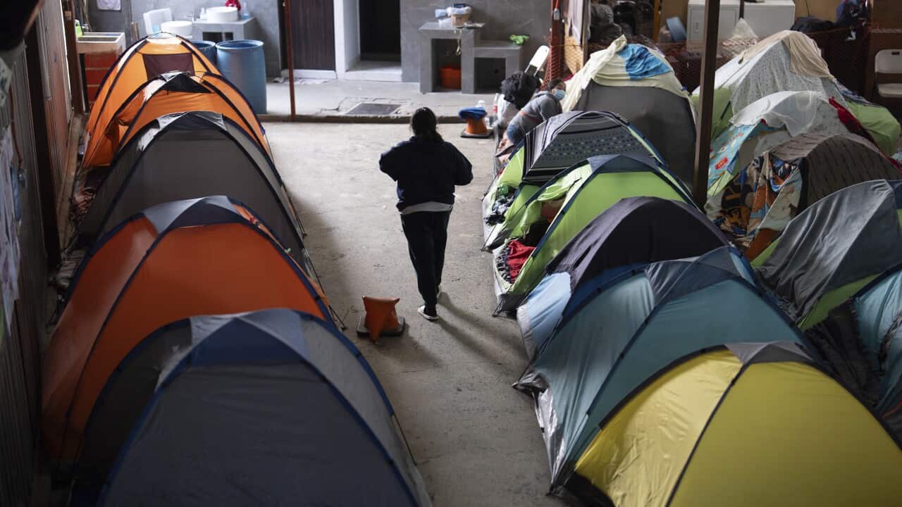 Trump Immigration