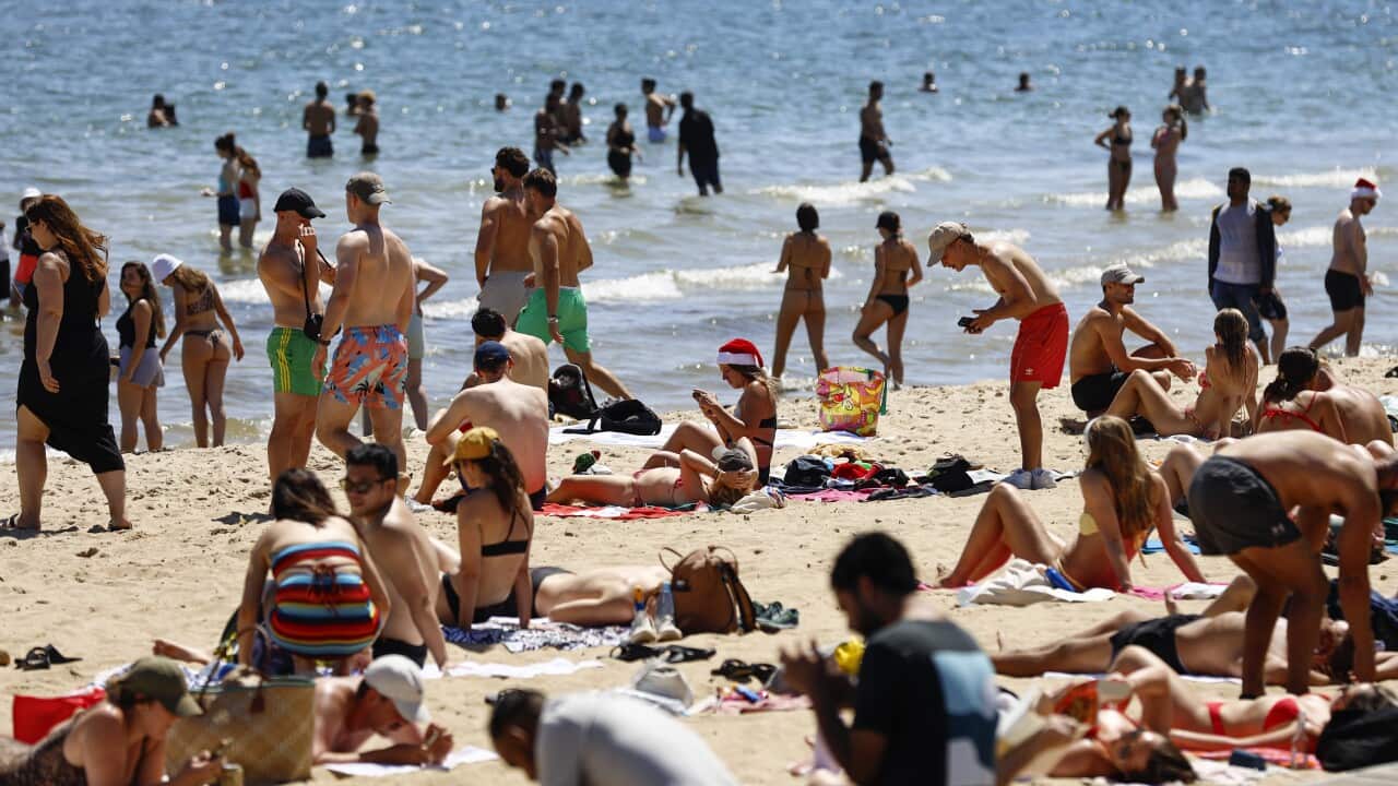 Crowds lying on the sand at a beach.