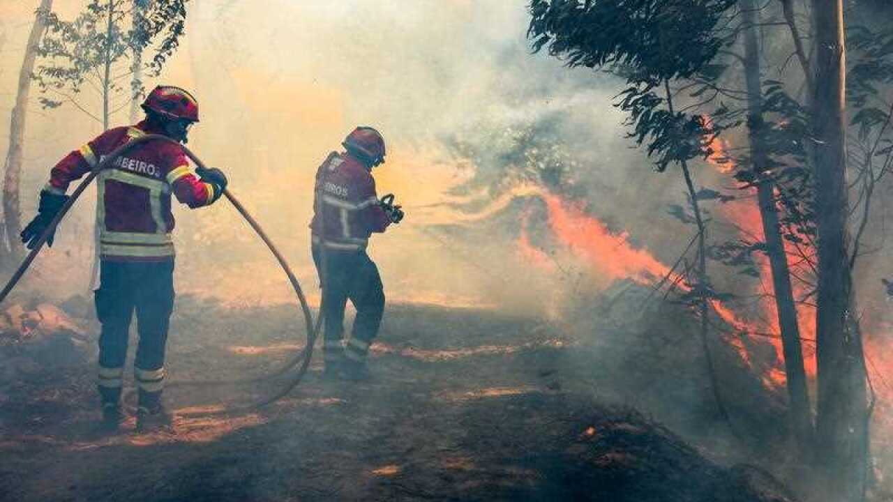 Firemen battle with a forest fire in Belem near Monchique, Algarve, southern Portugal, 08 August 2018.