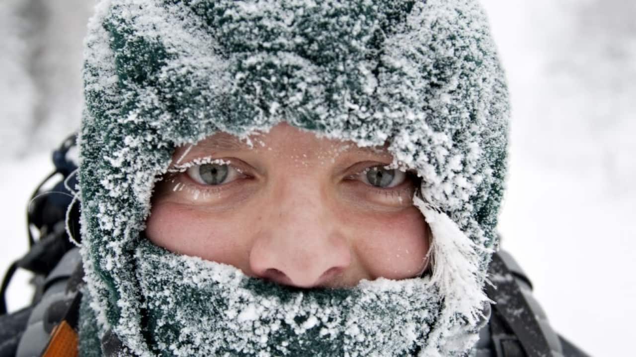 USA freeze