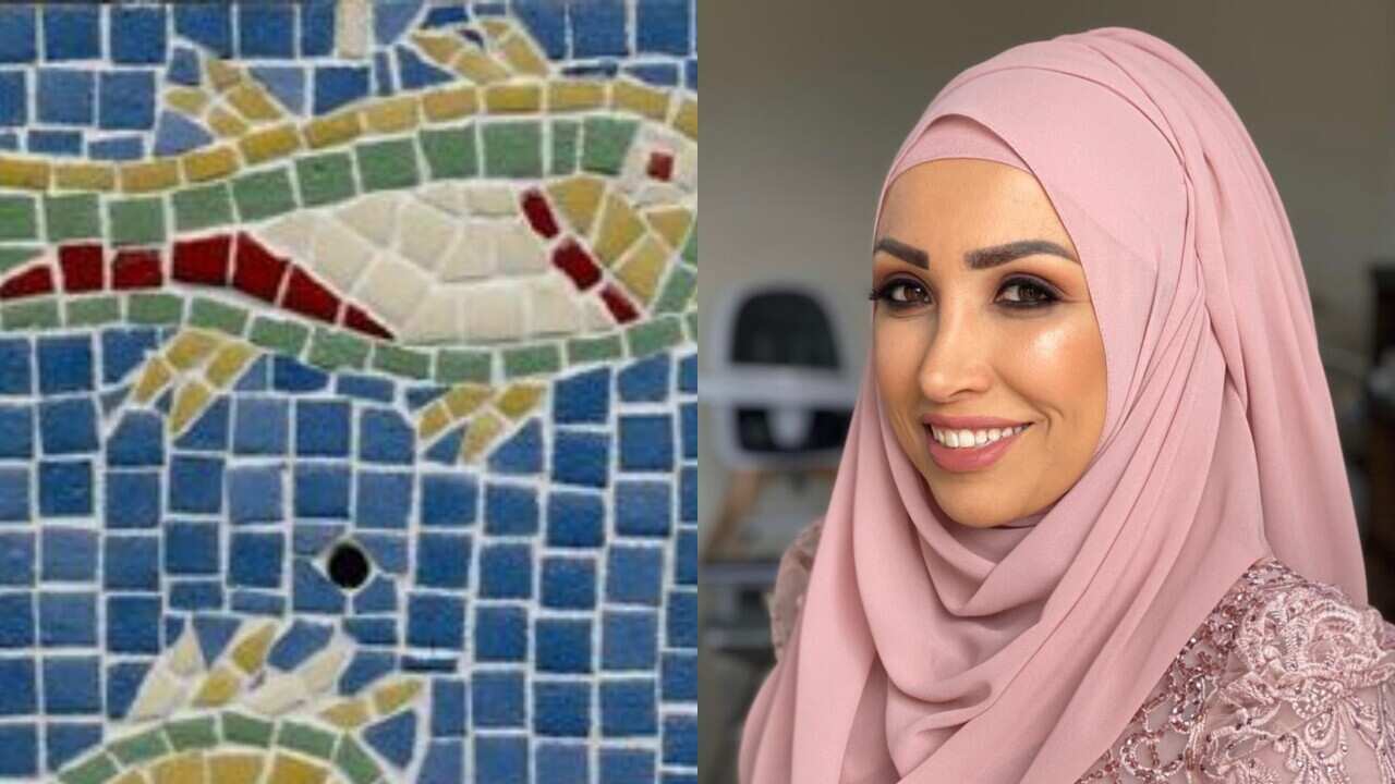 Yasmine Hassan.jpg