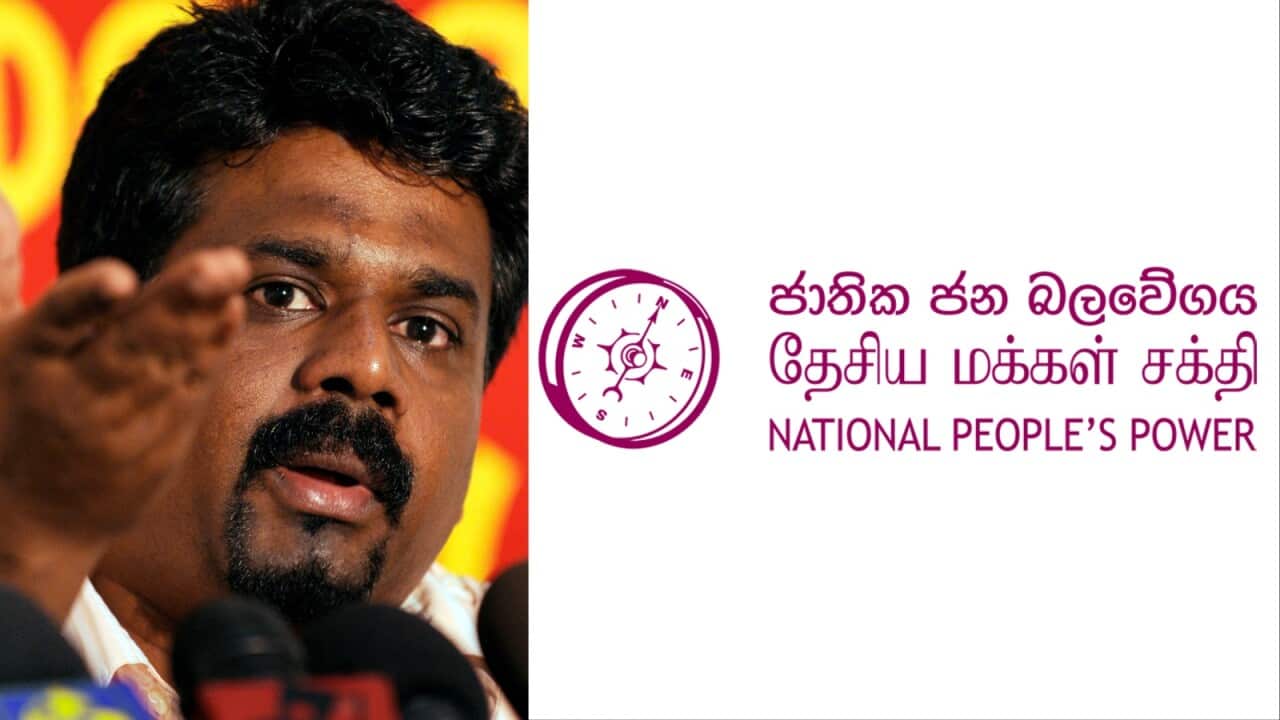 Collage Maker-25-Jul-2023-12-54-PM-8407.jpg