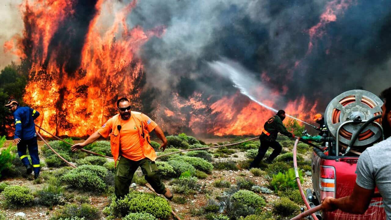 Firefighters and volunteers try to extinguish flames during a wildfire at the village of Kineta, near Athens, on July 24, 2018