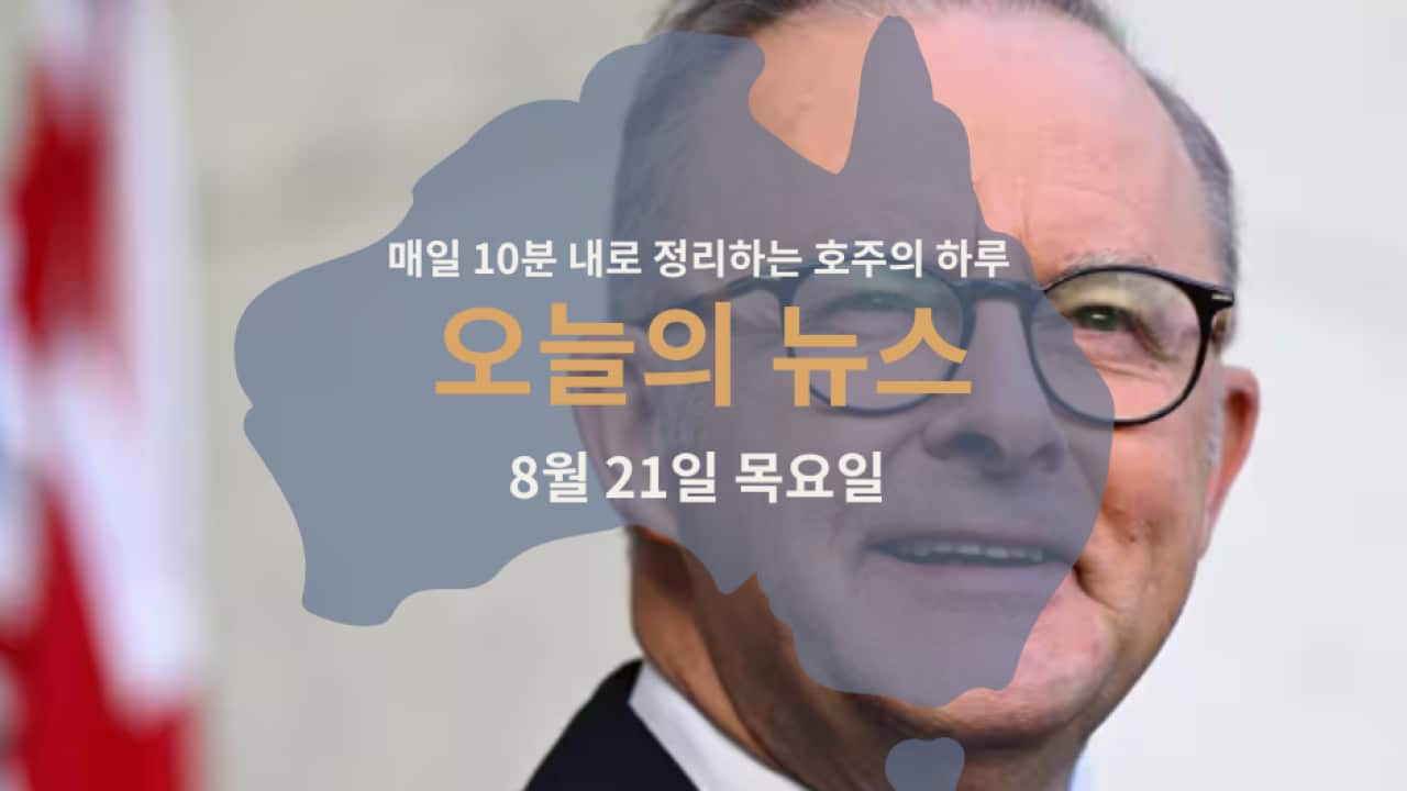 060825.png
