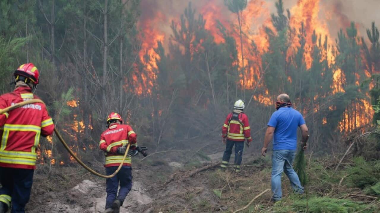 Fire fighters combat a forest fire in Gaeiras, Marinha Grande, Center of Portugal,