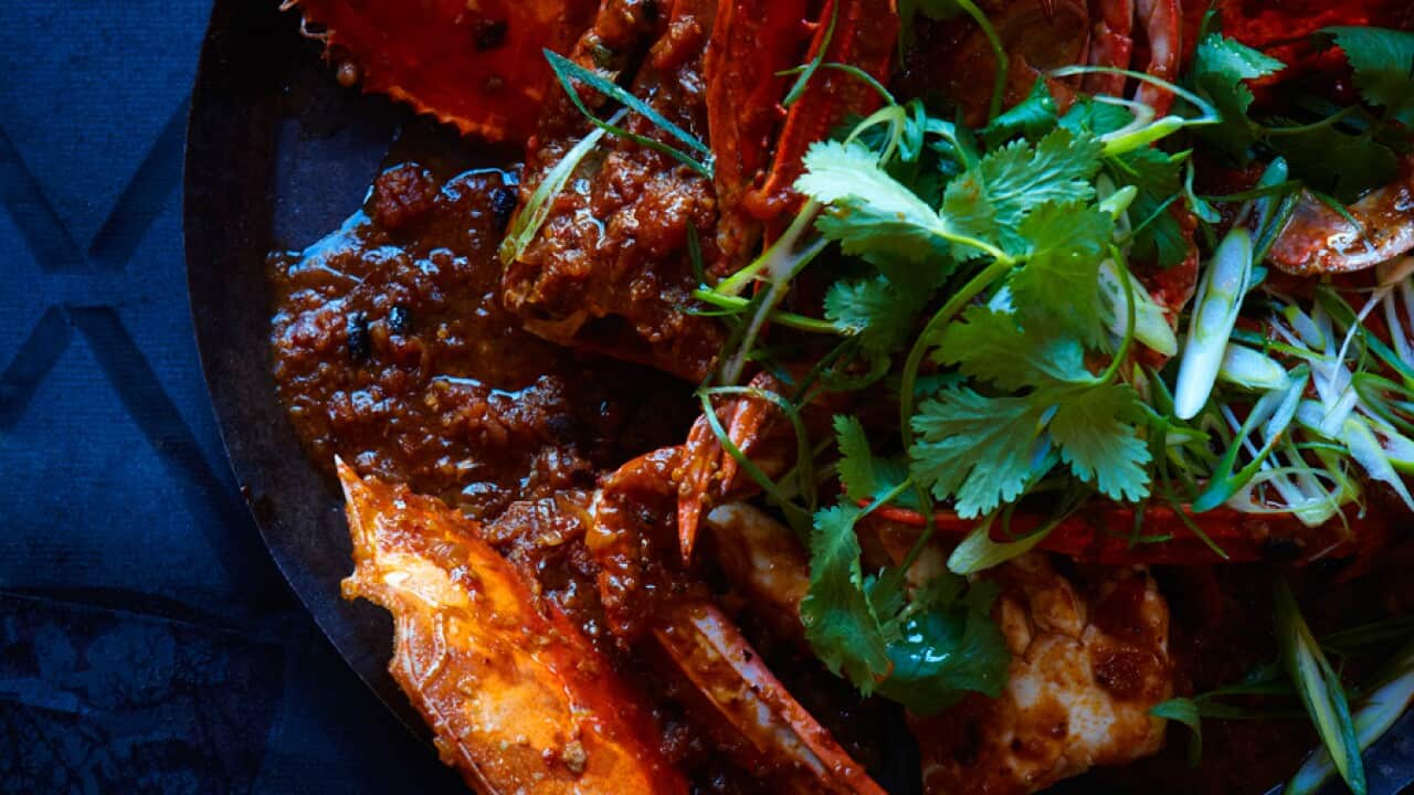 Chilli and black bean blue swimmer crabs
