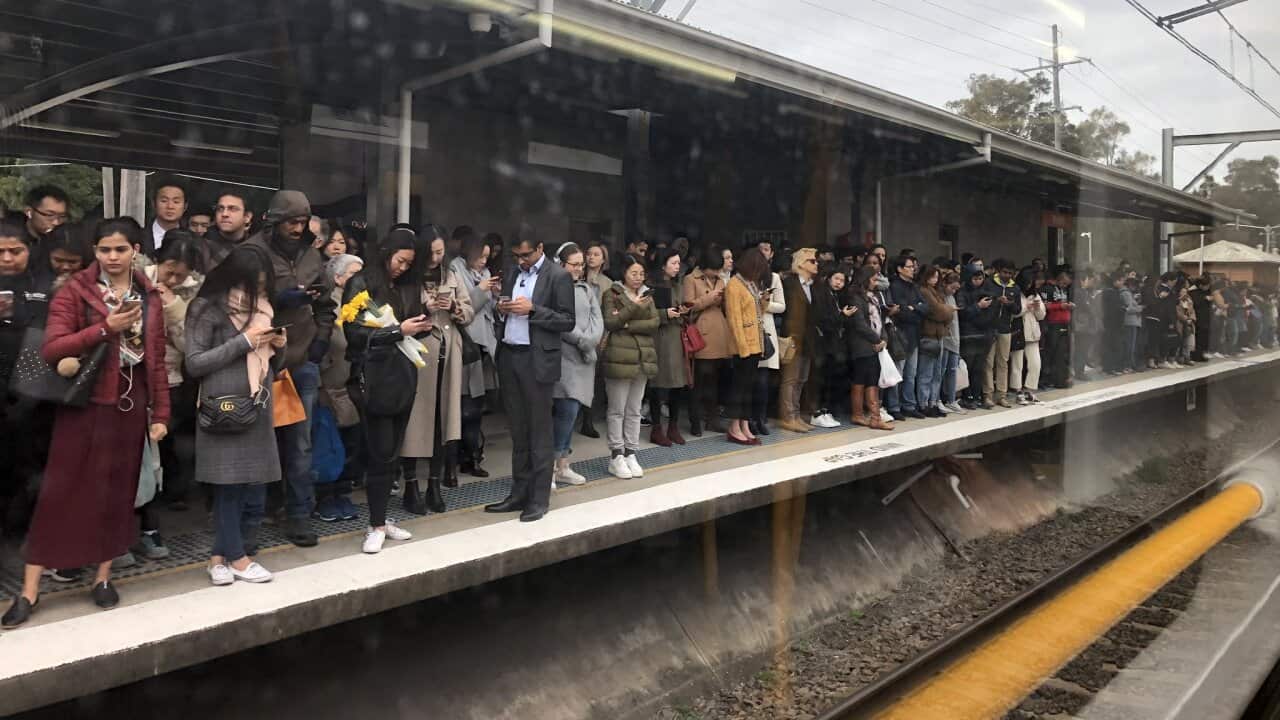 Stranged passengers line the platform at Rhodes station after a technical issue at Town Hall brought services to a standstill.