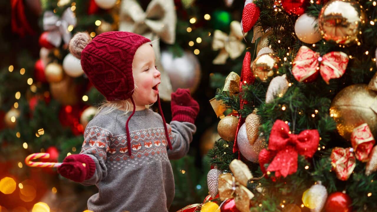 Child at Christmas tree on Xmas eve. It is miracle. Family with kids celebrating Christmas . Boy cute child cheerful mood play near christmas tree.