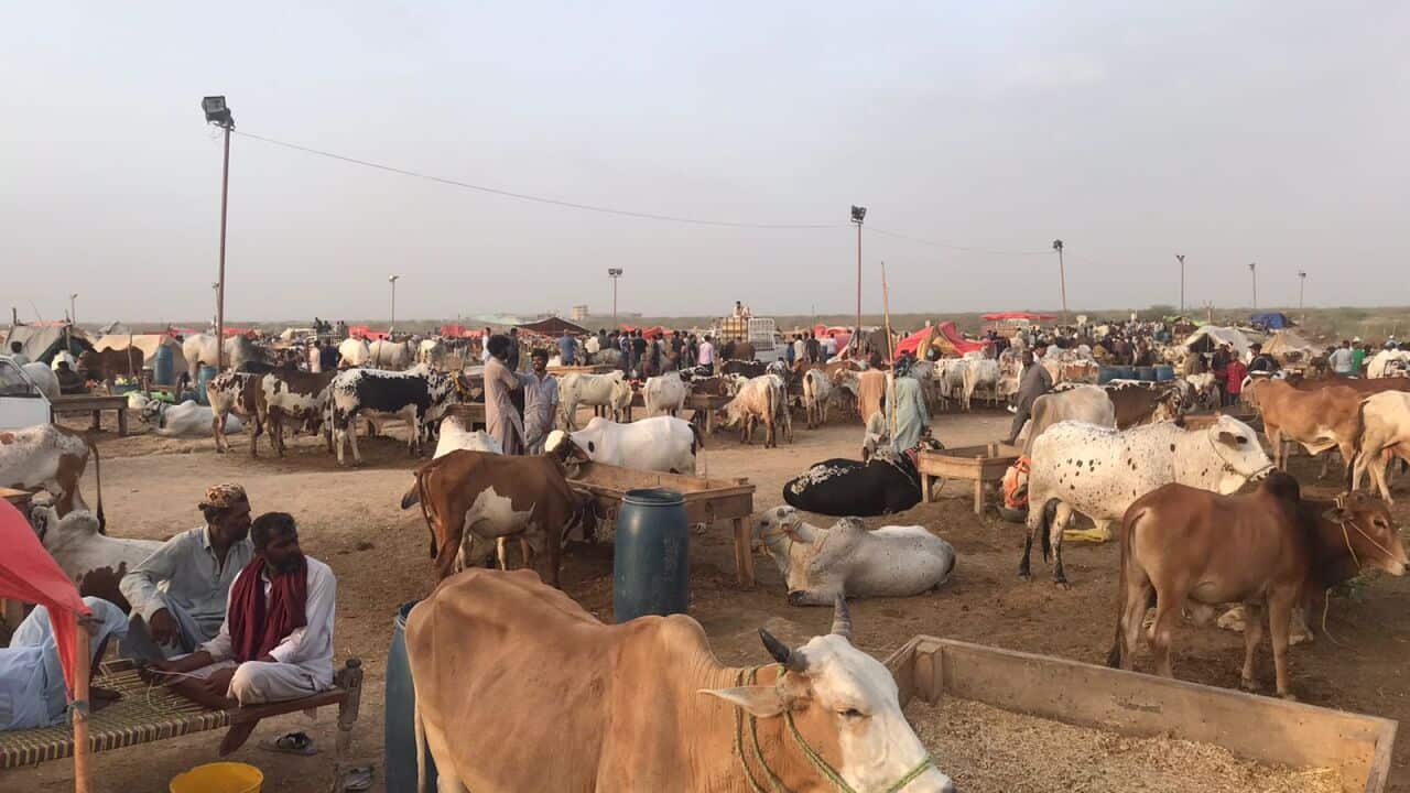 WhatsApp Image 2023-06-27 at 3.31.26 PM (1).jpeg