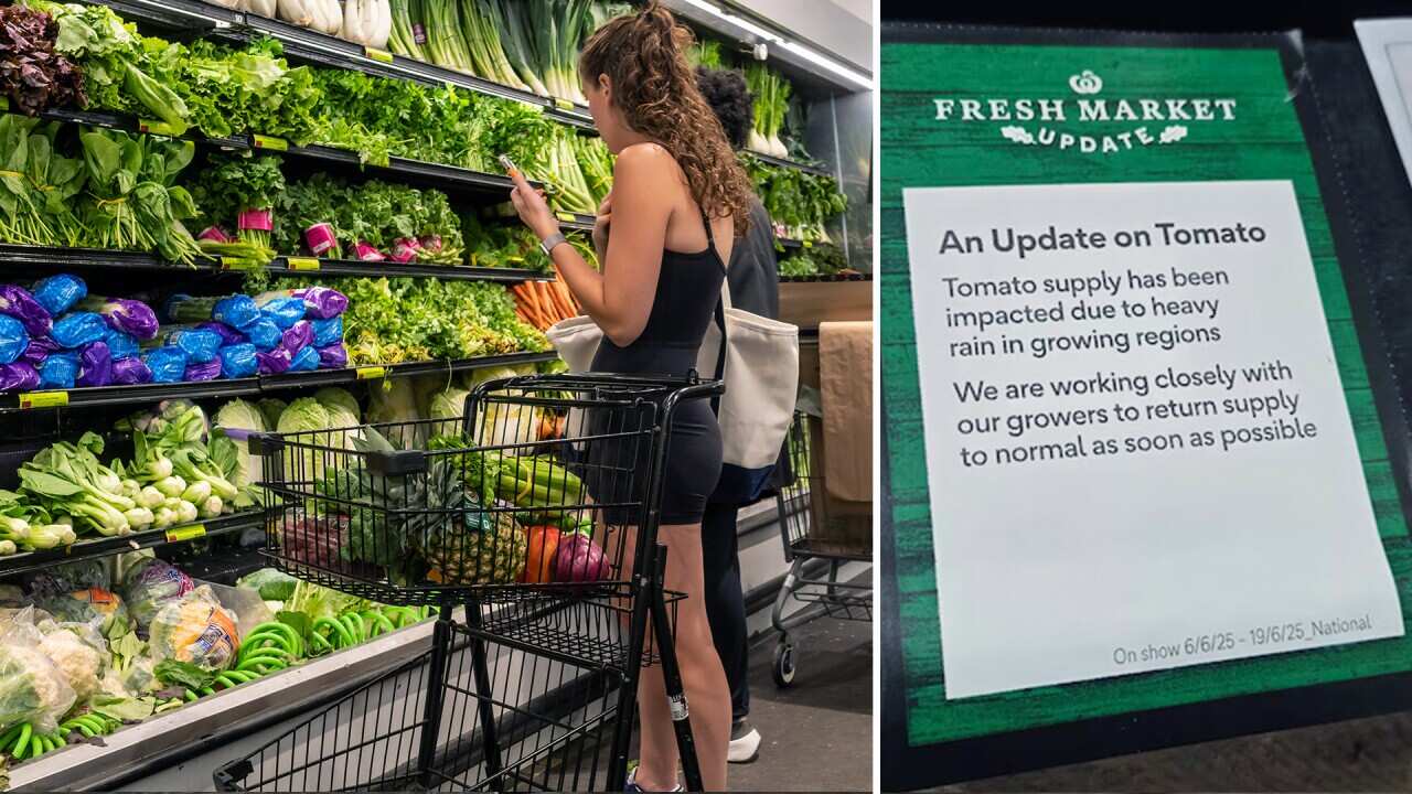 'Where are the tomatoes?'