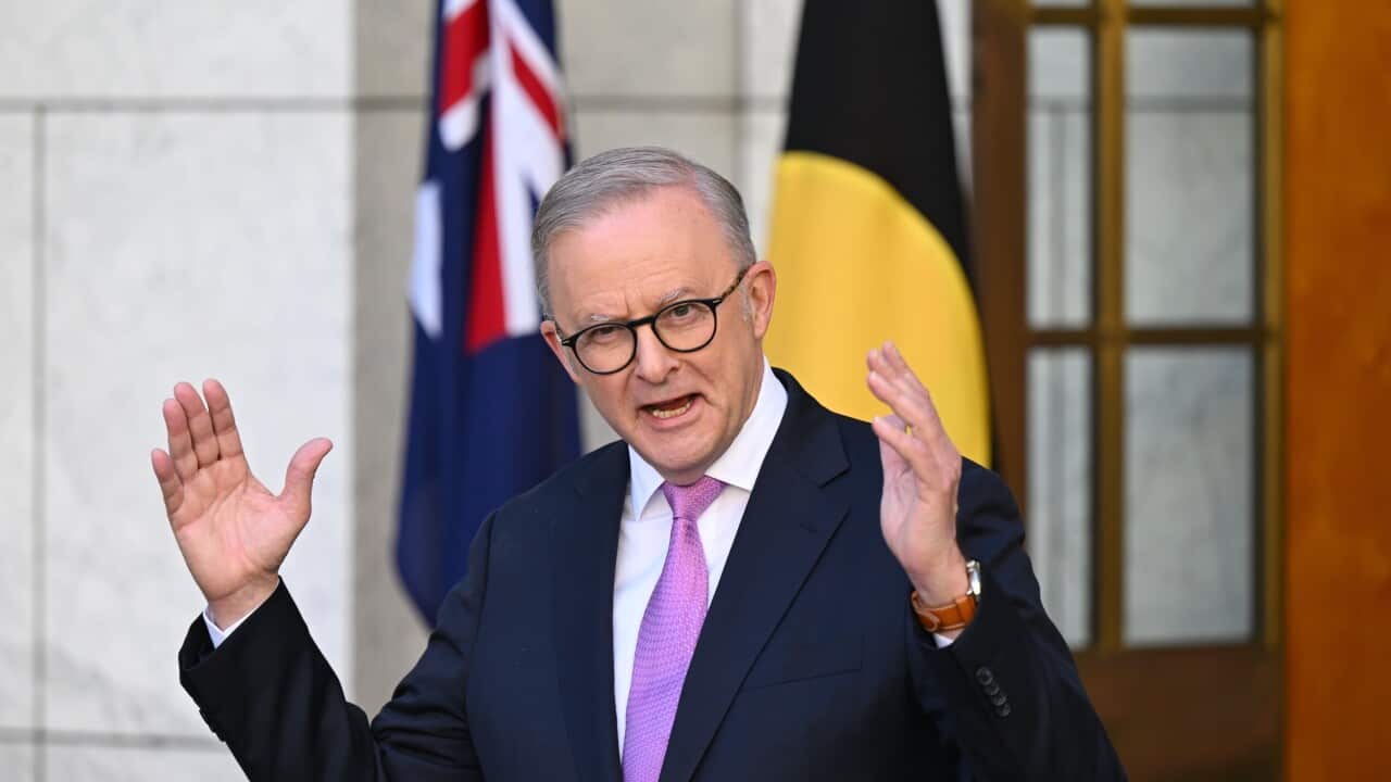 ANTHONY ALBANESE PRESSER