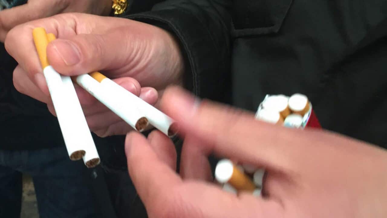 Police say investigations into the illicit tobacco market are ongoing