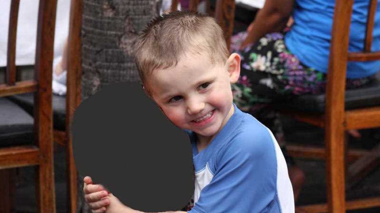 A supplied image obtained Saturday, Sept. 12, 2015 of missing three-year-old boy William Tyrrell.